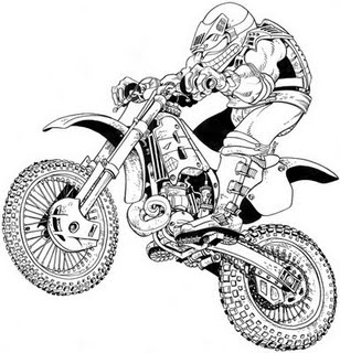 motocross-turtle-sm